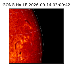 gong - 2026-09-14T03:00:42