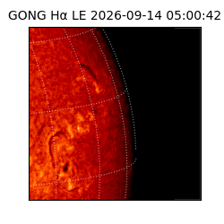 gong - 2026-09-14T05:00:42