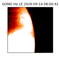 gong - 2026-09-14T08:00:42