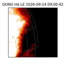 gong - 2026-09-14T09:00:42