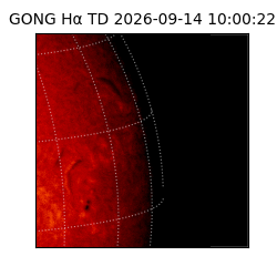 gong - 2026-09-14T10:00:22