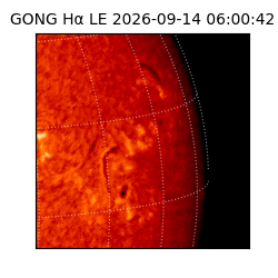 gong - 2026-09-14T06:00:42