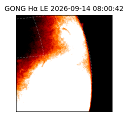 gong - 2026-09-14T08:00:42