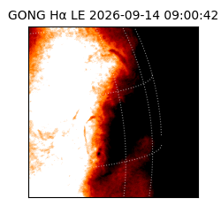 gong - 2026-09-14T09:00:42