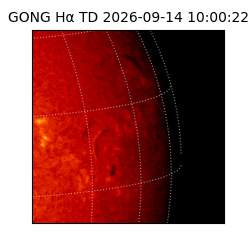 gong - 2026-09-14T10:00:22