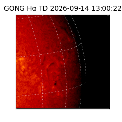 gong - 2026-09-14T13:00:22