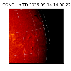 gong - 2026-09-14T14:00:22