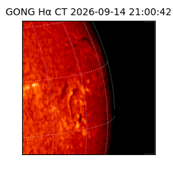 gong - 2026-09-14T21:00:42