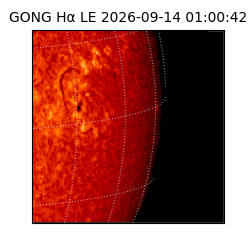 gong - 2026-09-14T01:00:42
