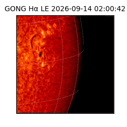 gong - 2026-09-14T02:00:42
