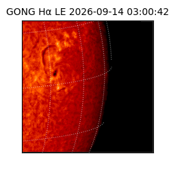 gong - 2026-09-14T03:00:42