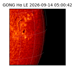 gong - 2026-09-14T05:00:42