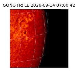 gong - 2026-09-14T07:00:42