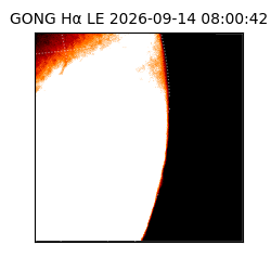 gong - 2026-09-14T08:00:42