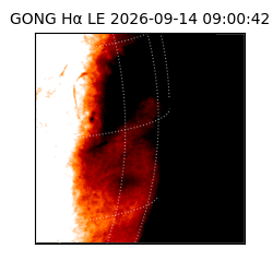 gong - 2026-09-14T09:00:42