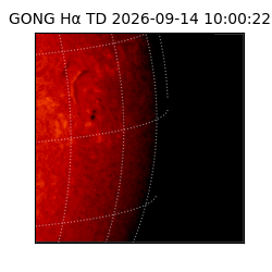 gong - 2026-09-14T10:00:22
