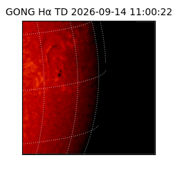 gong - 2026-09-14T11:00:22