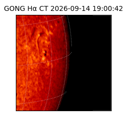 gong - 2026-09-14T19:00:42