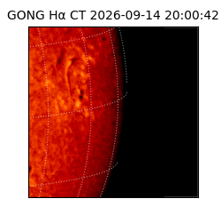 gong - 2026-09-14T20:00:42