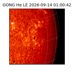 gong - 2026-09-14T01:00:42