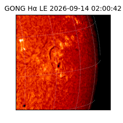 gong - 2026-09-14T02:00:42