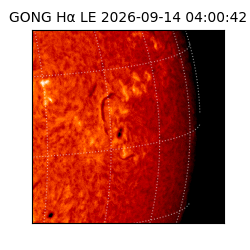 gong - 2026-09-14T04:00:42