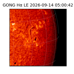 gong - 2026-09-14T05:00:42