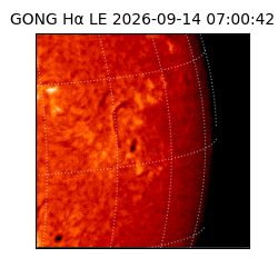 gong - 2026-09-14T07:00:42