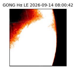 gong - 2026-09-14T08:00:42