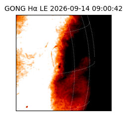 gong - 2026-09-14T09:00:42