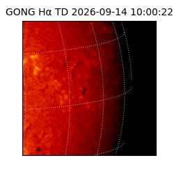 gong - 2026-09-14T10:00:22