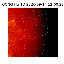 gong - 2026-09-14T12:00:22