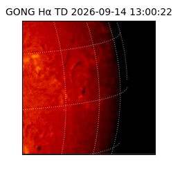 gong - 2026-09-14T13:00:22