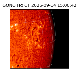 gong - 2026-09-14T15:00:42