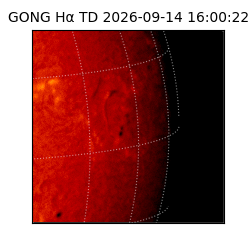 gong - 2026-09-14T16:00:22