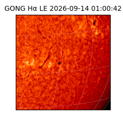 gong - 2026-09-14T01:00:42
