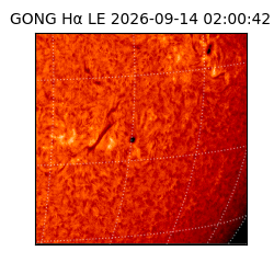 gong - 2026-09-14T02:00:42