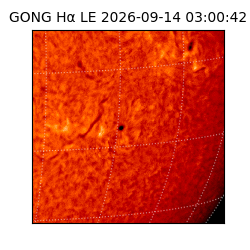 gong - 2026-09-14T03:00:42