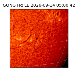 gong - 2026-09-14T05:00:42
