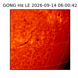 gong - 2026-09-14T06:00:42
