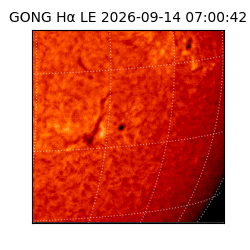 gong - 2026-09-14T07:00:42