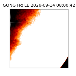 gong - 2026-09-14T08:00:42