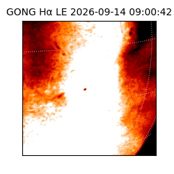 gong - 2026-09-14T09:00:42