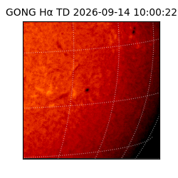 gong - 2026-09-14T10:00:22