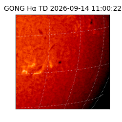 gong - 2026-09-14T11:00:22