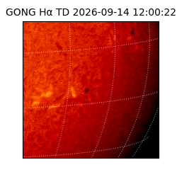 gong - 2026-09-14T12:00:22