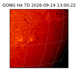 gong - 2026-09-14T13:00:22