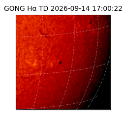 gong - 2026-09-14T17:00:22