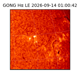 gong - 2026-09-14T01:00:42