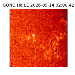 gong - 2026-09-14T02:00:42